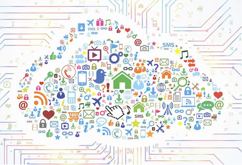 東數(shù)西算浪潮下 IDC龍頭寶信軟件的機遇與挑戰(zhàn)