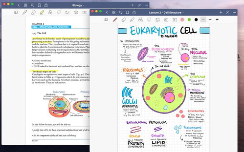 筆記就是生產力 打造高效創(chuàng)意工作流的Mac筆記軟件指南